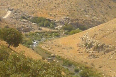 coburlu 