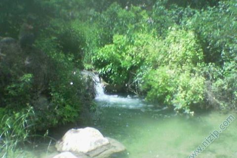 cobur gole hamure 