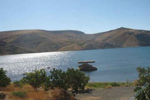 ehneş 