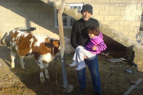 hancağız 