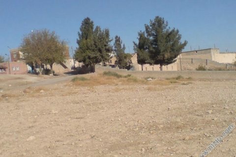 hancağız 