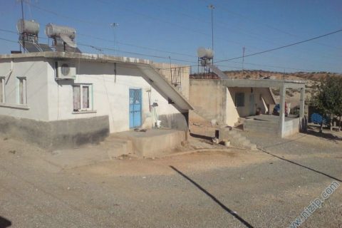 hancağız 