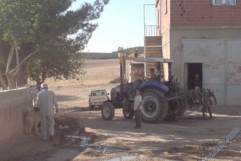 hancağız 