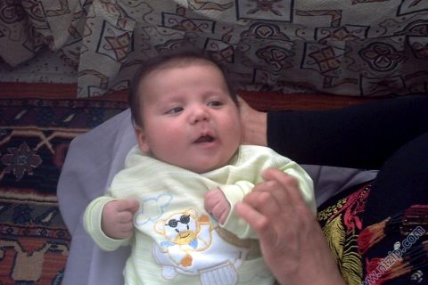 ikizceli küçük turgut 