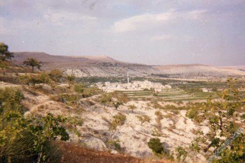zergil 