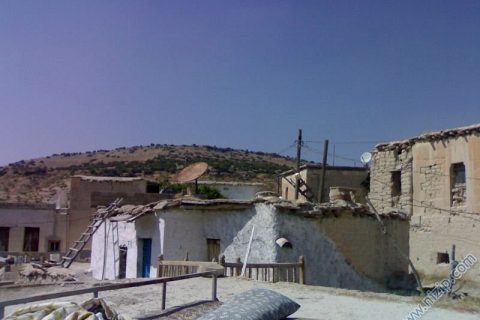 zergil 