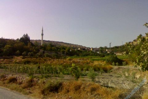 zergil 