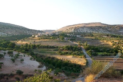 zergil yenı 