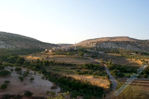zergil 