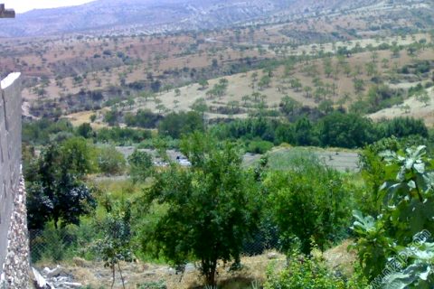 zergilın güneyı 