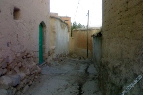 zergil 