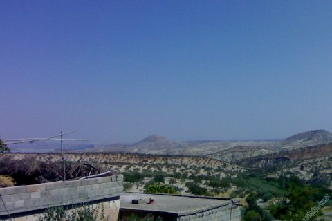 zergil 