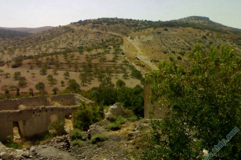 zergil köyu 
