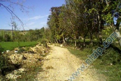 çay yolu 