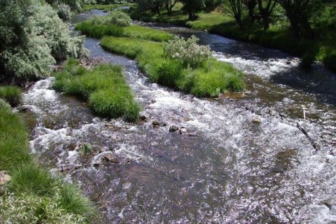 0-PICT0079 