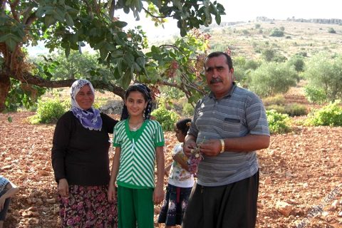 kizilin köyü 