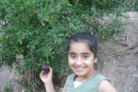 siyah nar ve kizim 