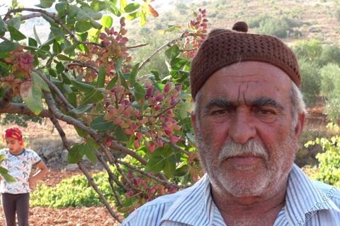 haci mehmet akpinar 