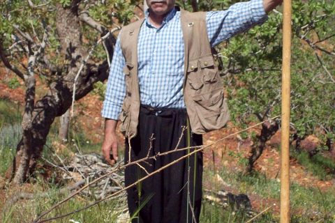 MEHMET FATİH BOZKAYA 