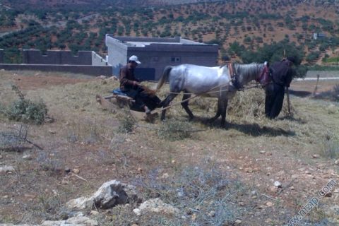 KIZILİN  KÖYÜ 