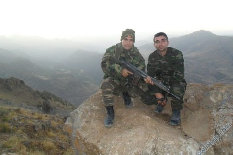 kemal sarı 