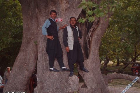 has mamed ve kayınbiraderi habeş 