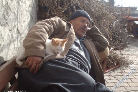 babam ve kedisi 