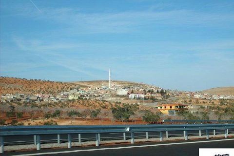 1741-20070223172652_417_1 