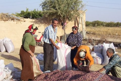 hülmen köyünden bir görüntü 2 