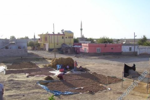 hülmen köyünden bir görüntü 