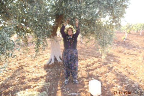 sultan kara 
