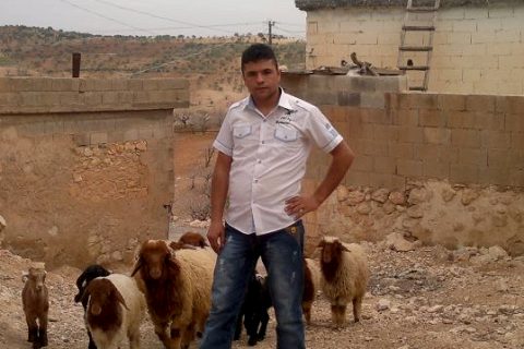delbir koyu 