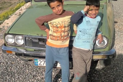 delbir koyu 