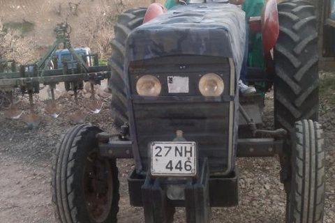 delbir koyu 