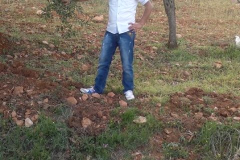 delbir koyu 