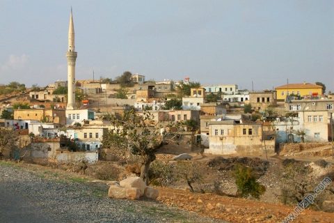 DELBİR (ÖZYURT) KÖYÜNE KARŞIDAN BAKIŞ 