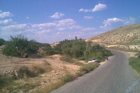 cortenı 