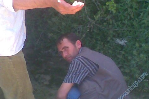 mustafa bozaslan 