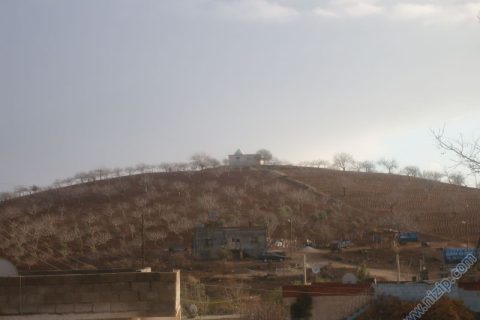 ziyaret 