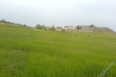 köyümüz 