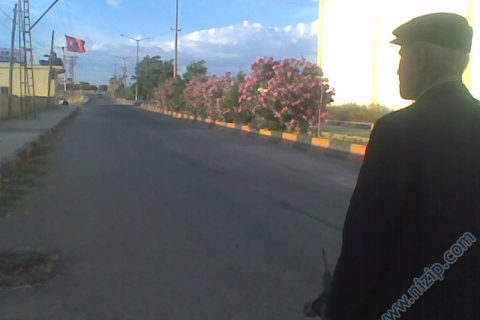 orulun en akıllı adamı 