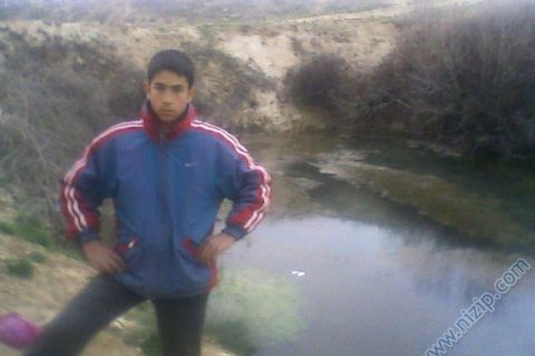 gazelei pınar 
