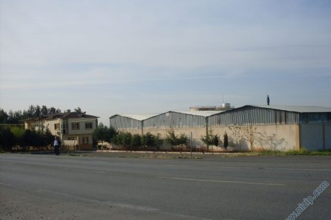 pamyağ 