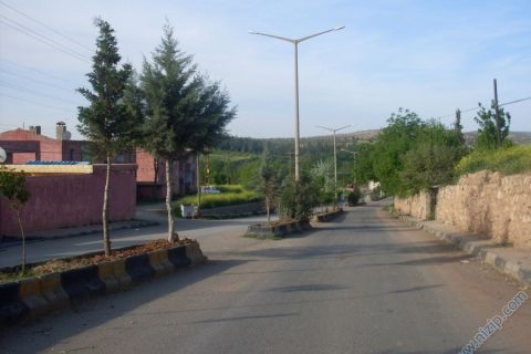 belediye lojmanı 