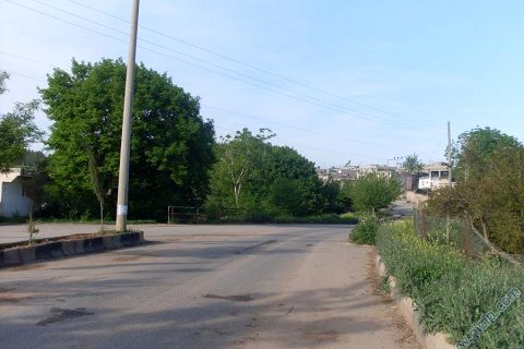 pınarönü 