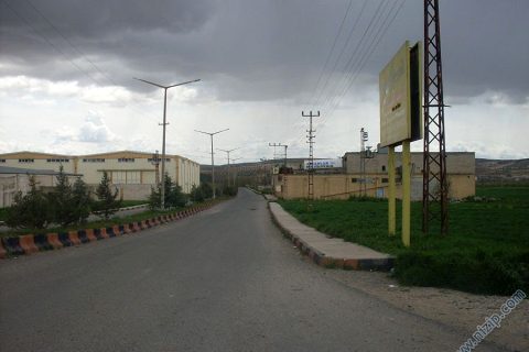 yol boyu pamyağ 