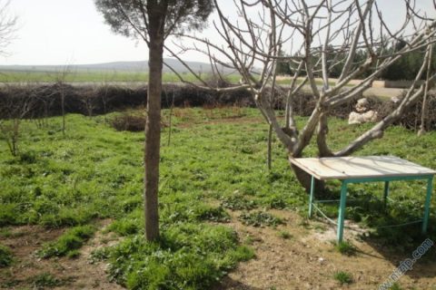 13841-DSC00959 