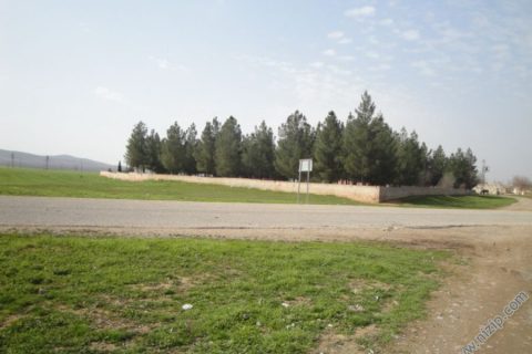 13841-DSC00957 