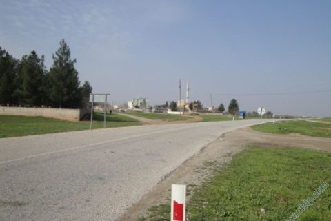 13841-DSC00955 