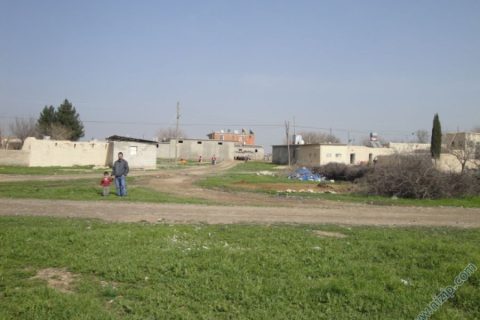 13841-DSC00954 